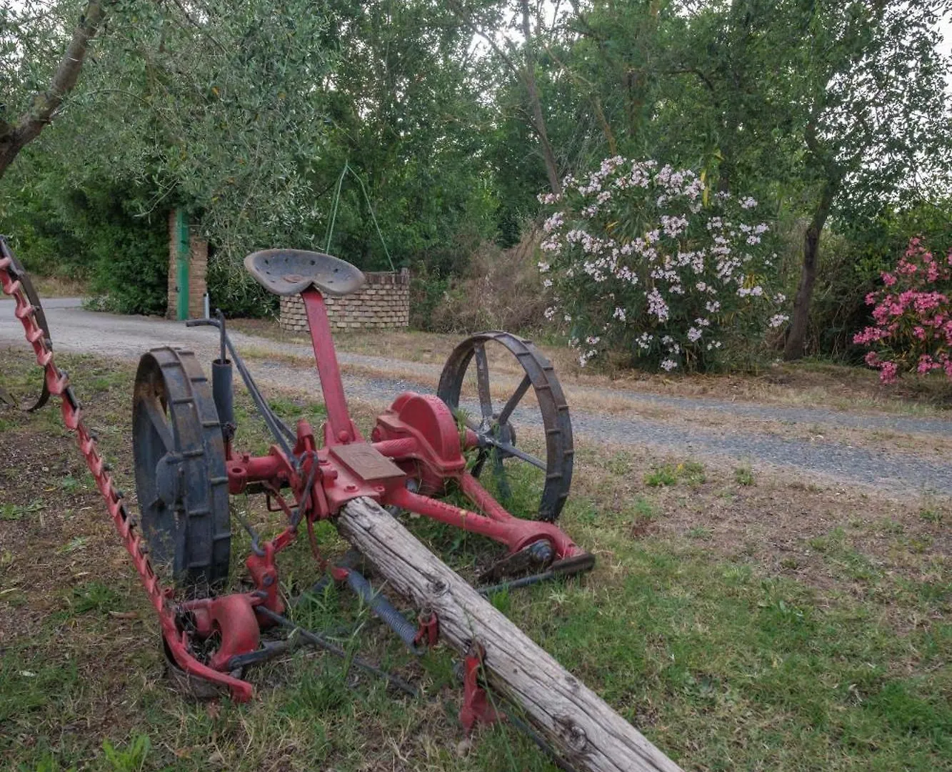Farm stay Agriturismo Niccoland Grosseto Italy